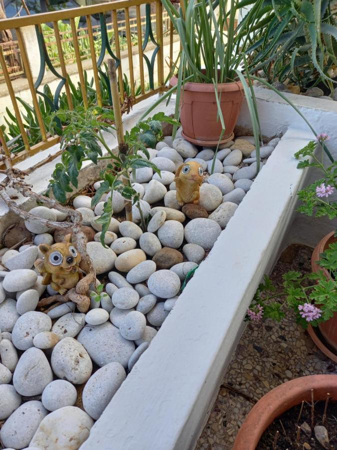 Alexandros Cosy House For Family Vacation Apartment Chania  Bagian luar foto
