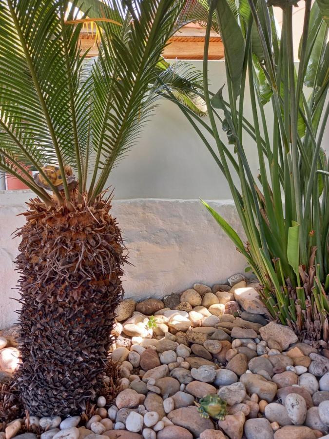 Alexandros Cosy House For Family Vacation Apartment Chania  Bagian luar foto