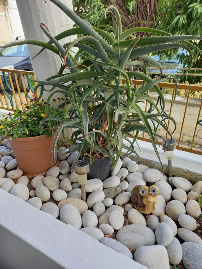 Alexandros Cosy House For Family Vacation Apartment Chania  Bagian luar foto